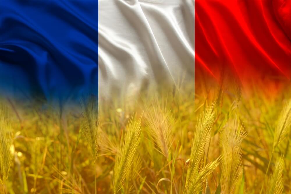 Élection de la chambre d’agriculture de la région ÎledeFrance 2025